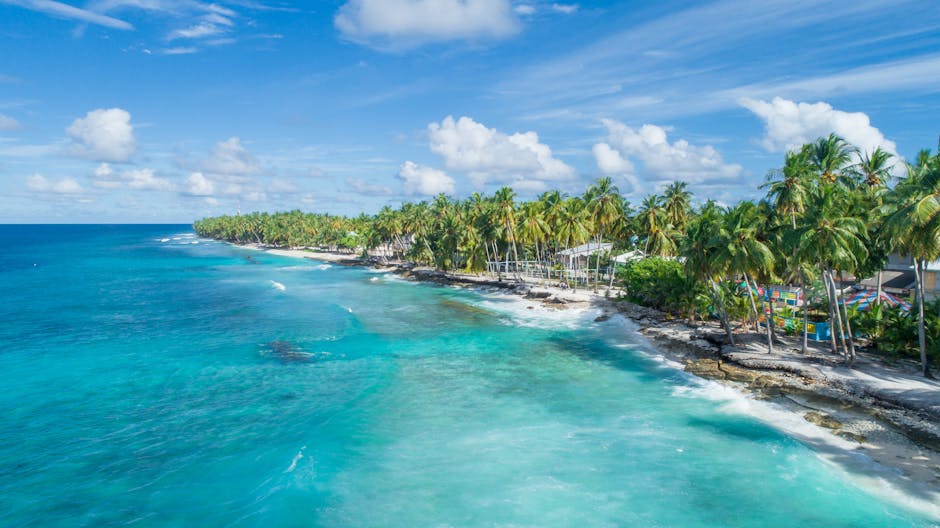 Lush palm-lined coastline of Maldives with turquoise waters and clear blue sky.